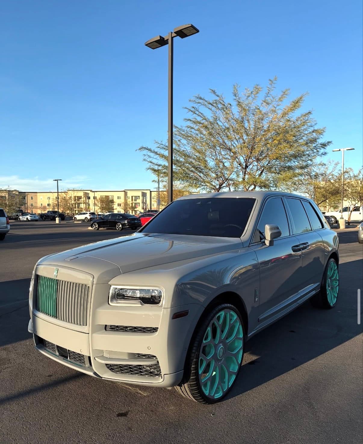 Rolls-Royce Cullinan white — ceramic coating